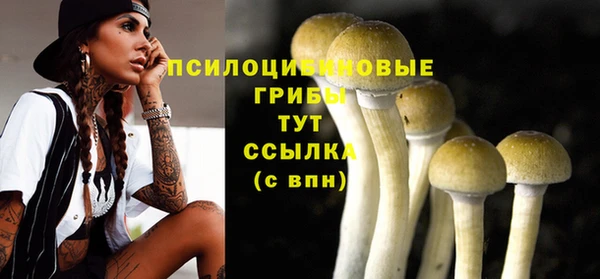 первитин Елабуга