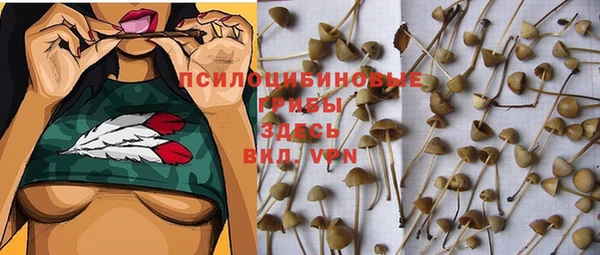 первитин Елабуга