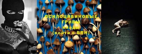 первитин Елабуга