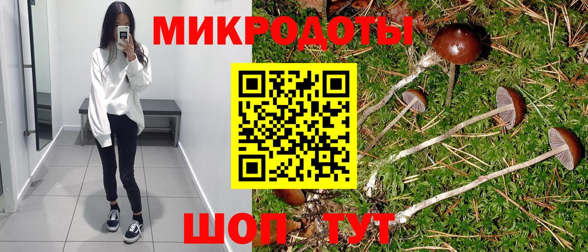 Псилоцибиновые грибы GOLDEN TEACHER Кандалакша
