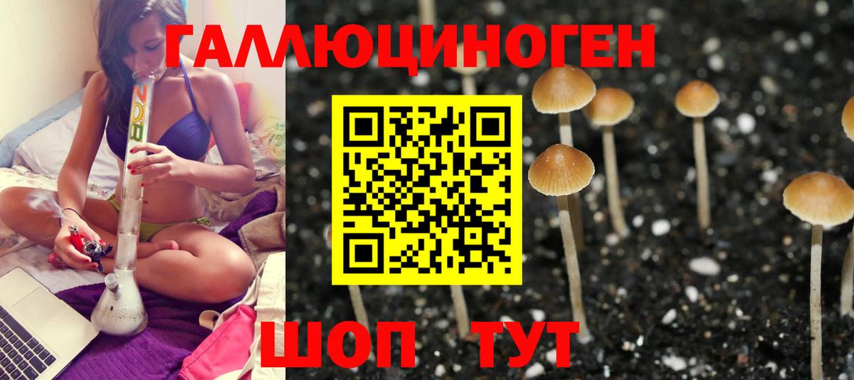 Галлюциногенные грибы GOLDEN TEACHER  Вход с VPN  Кандалакша 