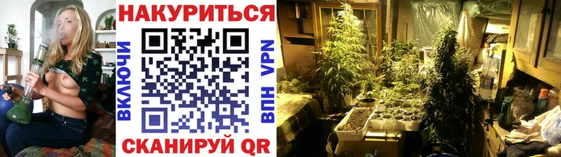 наркошоп  Кандалакша  Шишки марихуана ГИДРОПОН 